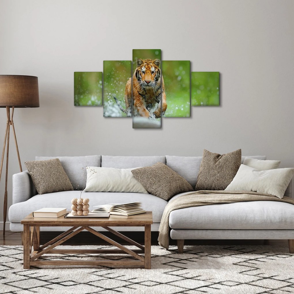 Obraz - Biegnący tygrys (125x70 cm)