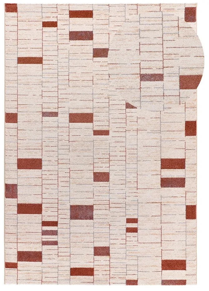 Ceglasto-kremowy dywan 80x150 cm Beruti – Universal