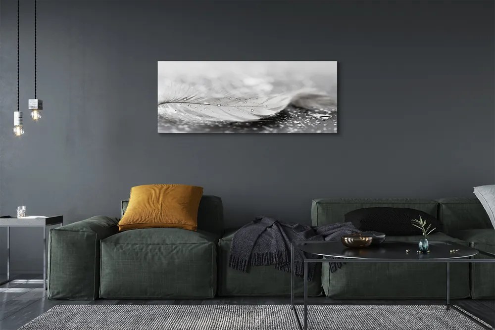 Obraz canvas na ścianę Delikatne Krople na Piórku