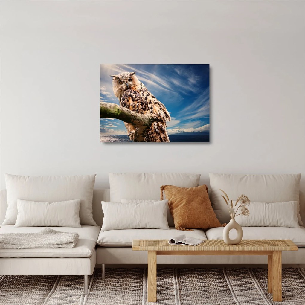 Obraz na szkle - Sowa (70x50 cm)