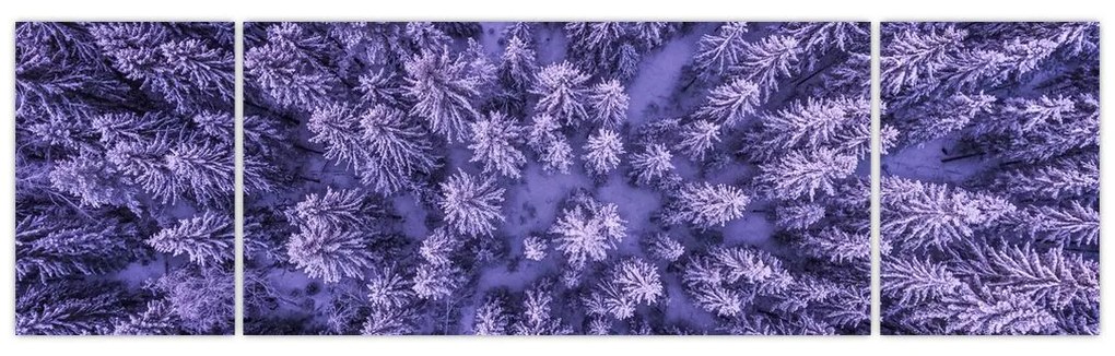 Obraz ośnieżonych drzew (170x50 cm)