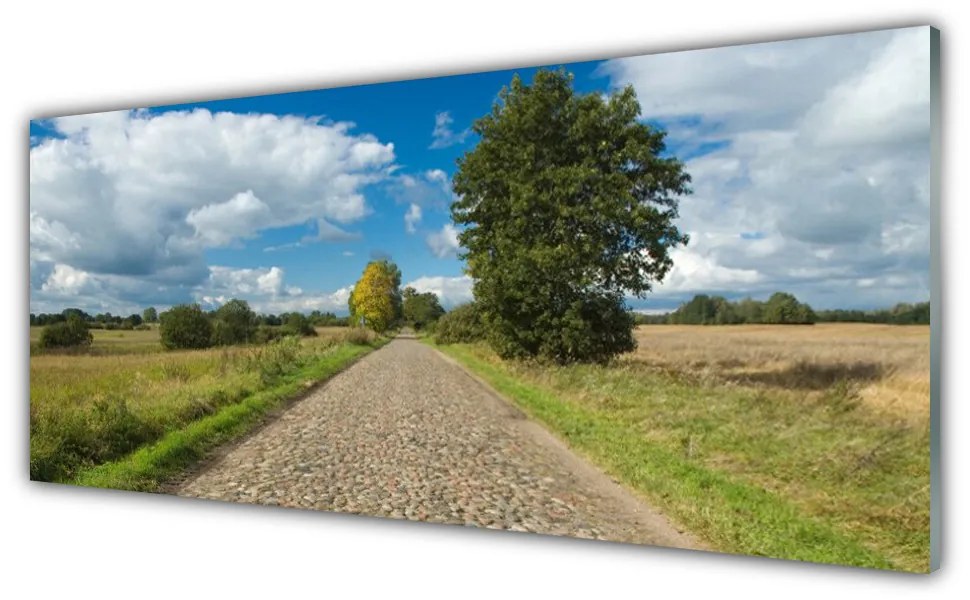 Panel Kuchenny Wieś Droga Bruk Krajobraz