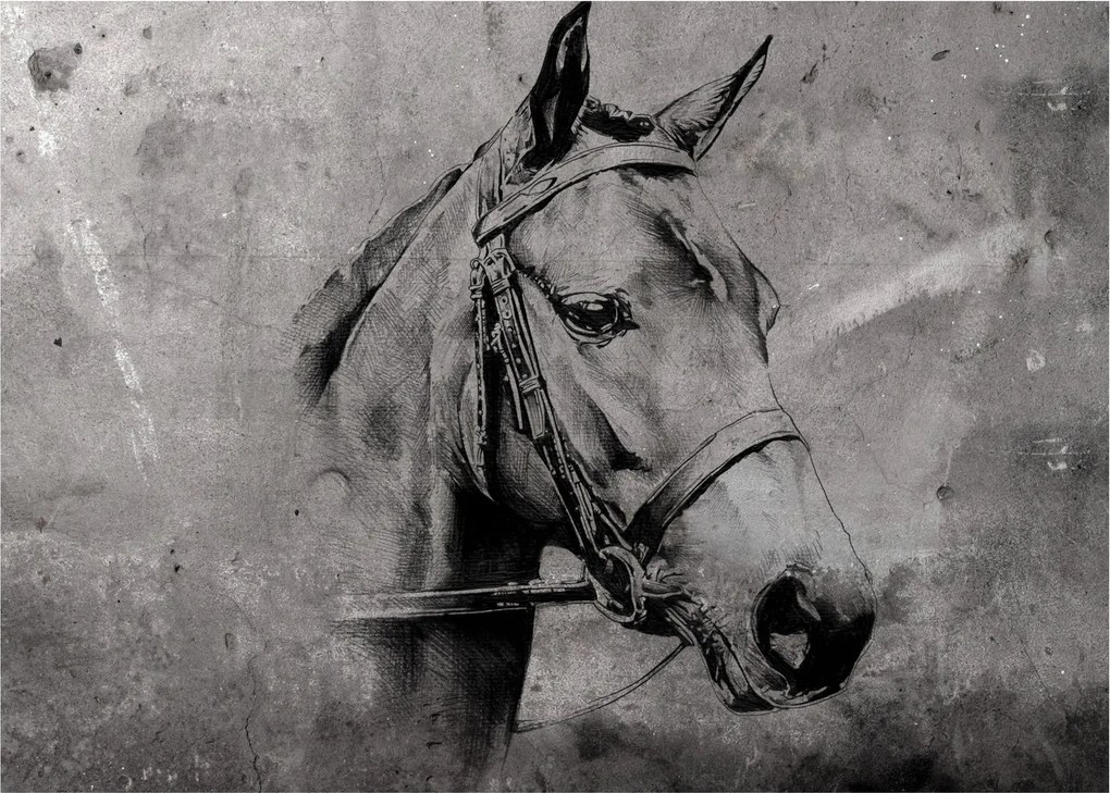 Obraz - Portret konia (70x50 cm)