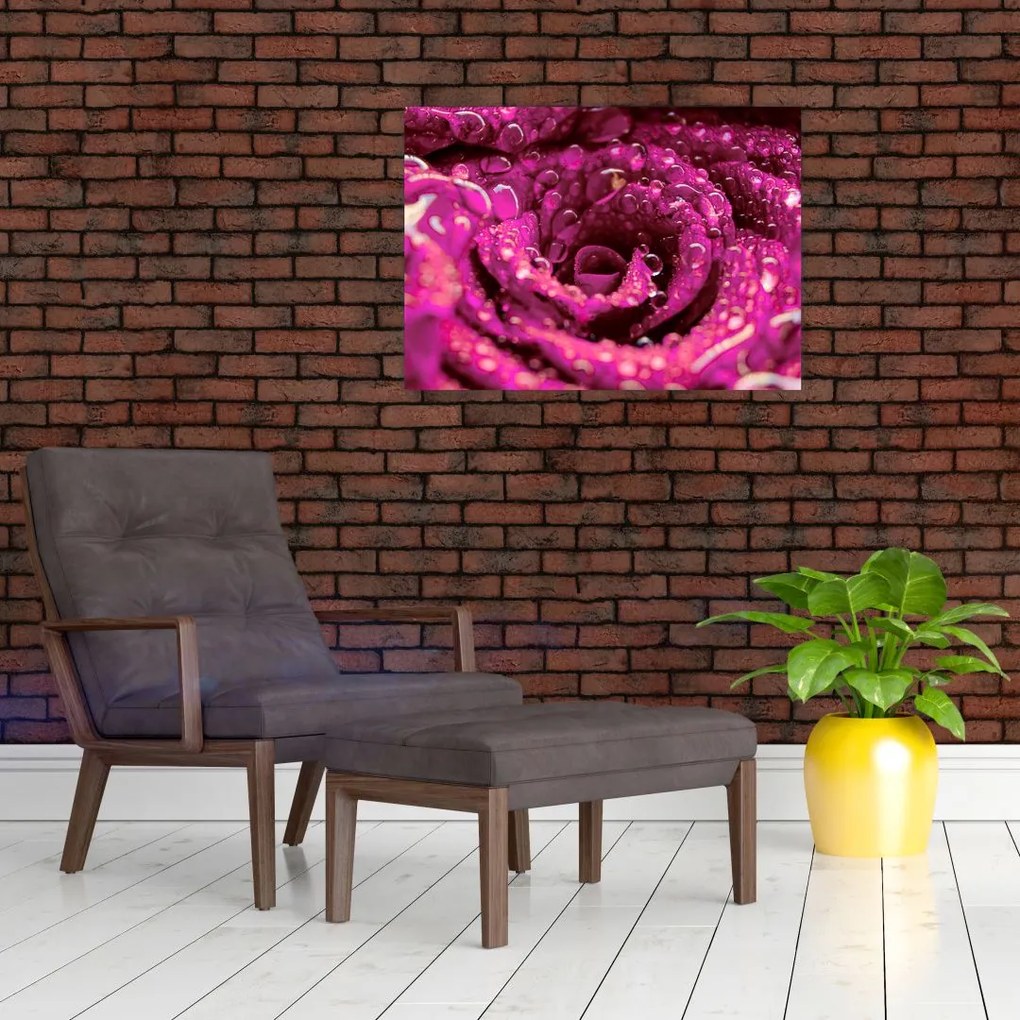 Obraz na szkle - różowy kwiat róży (70x50 cm)