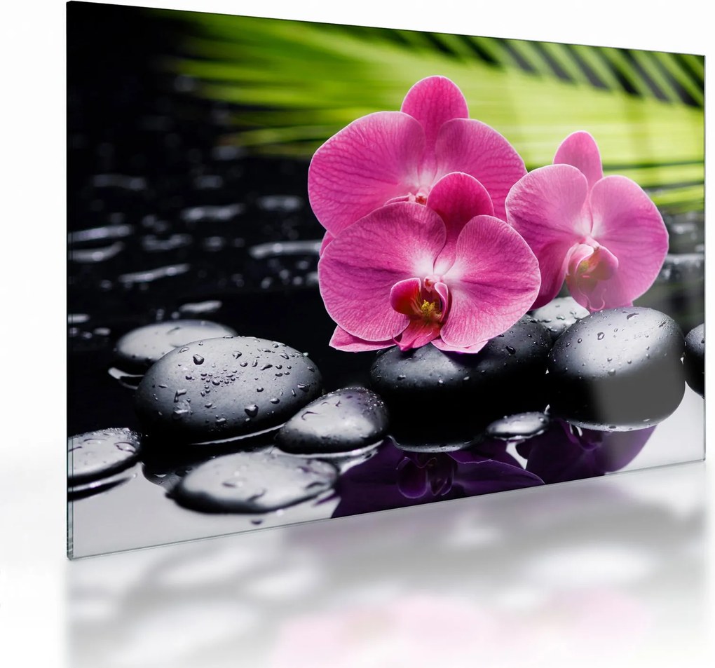 Obraz na szkle - Różowe orchidee z liściem palmy (70x50 cm)