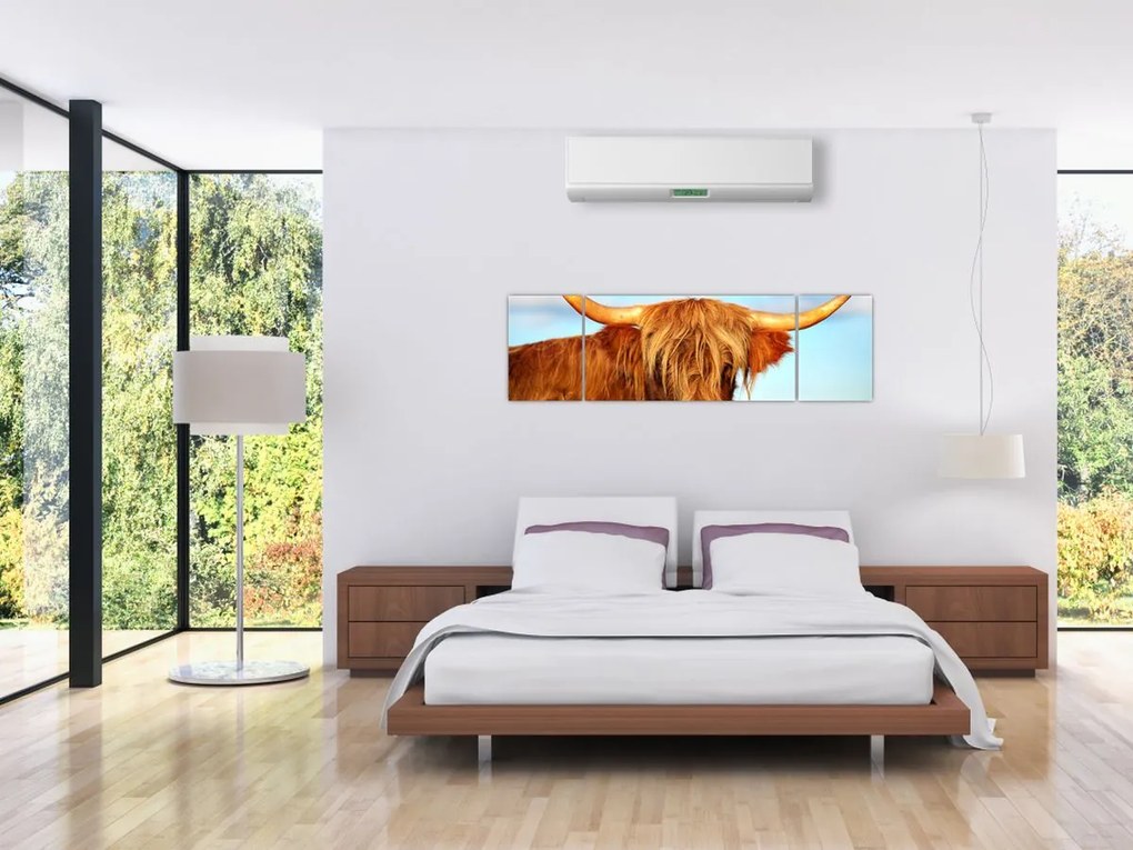 Obraz -Szkocka krowa (170x50 cm)