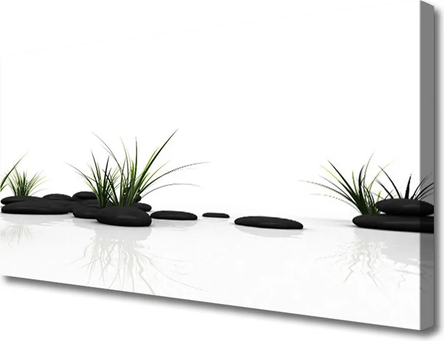 Obraz canvas Odbicie Traw w Lustrze Wody