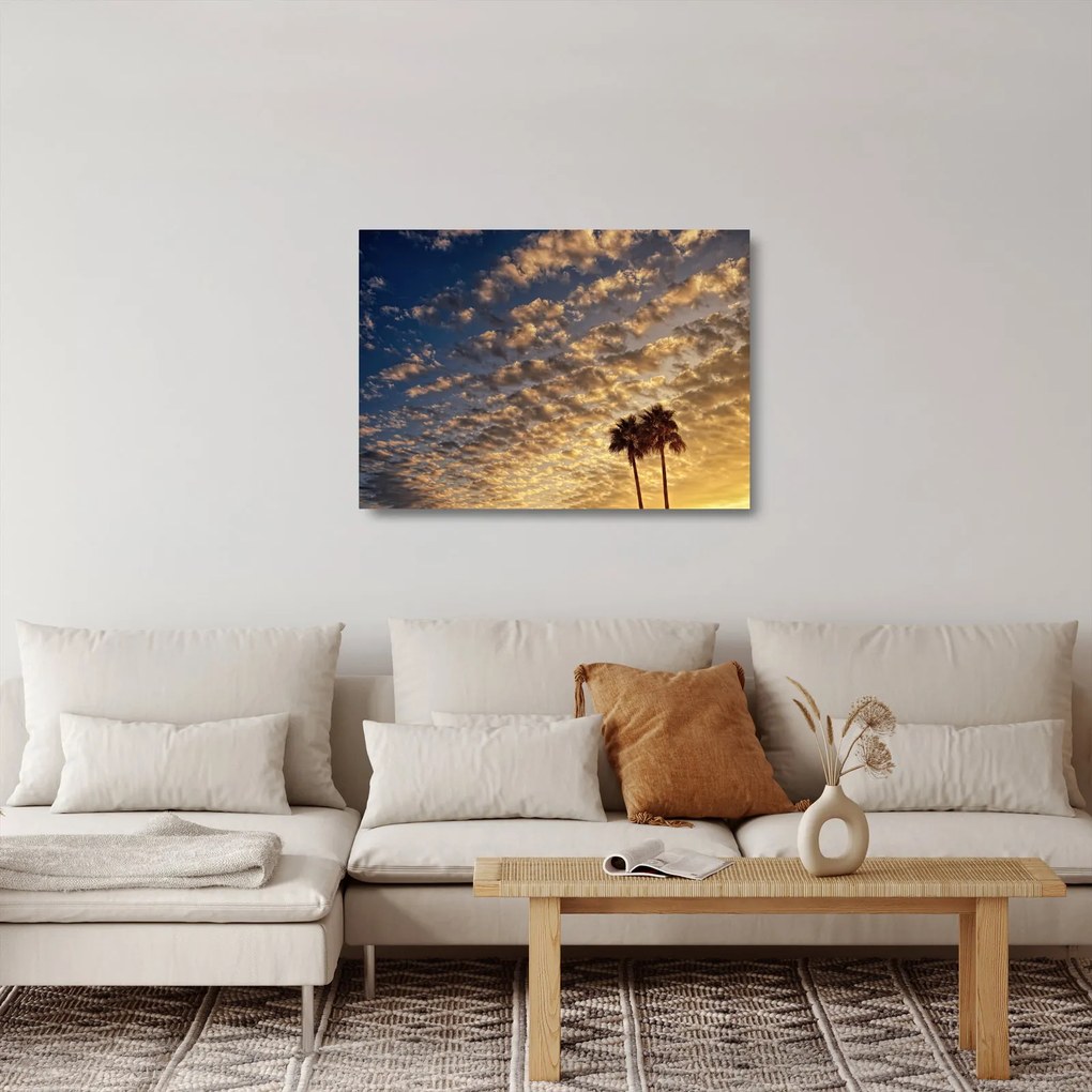 Obraz na szkle - palmy pośród chmur (70x50 cm)