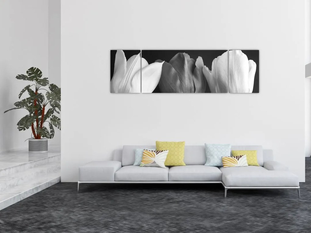Obraz - Czarno - białe kwiaty tulipanów (170x50 cm)
