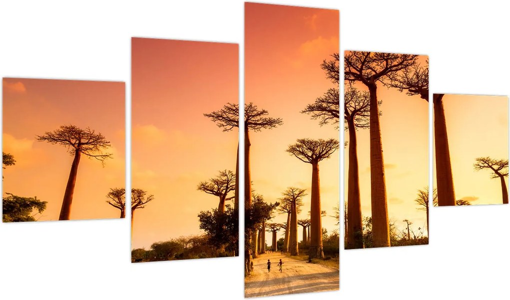 Obraz - Zachód słońca w Baobab Alley (125x70 cm)