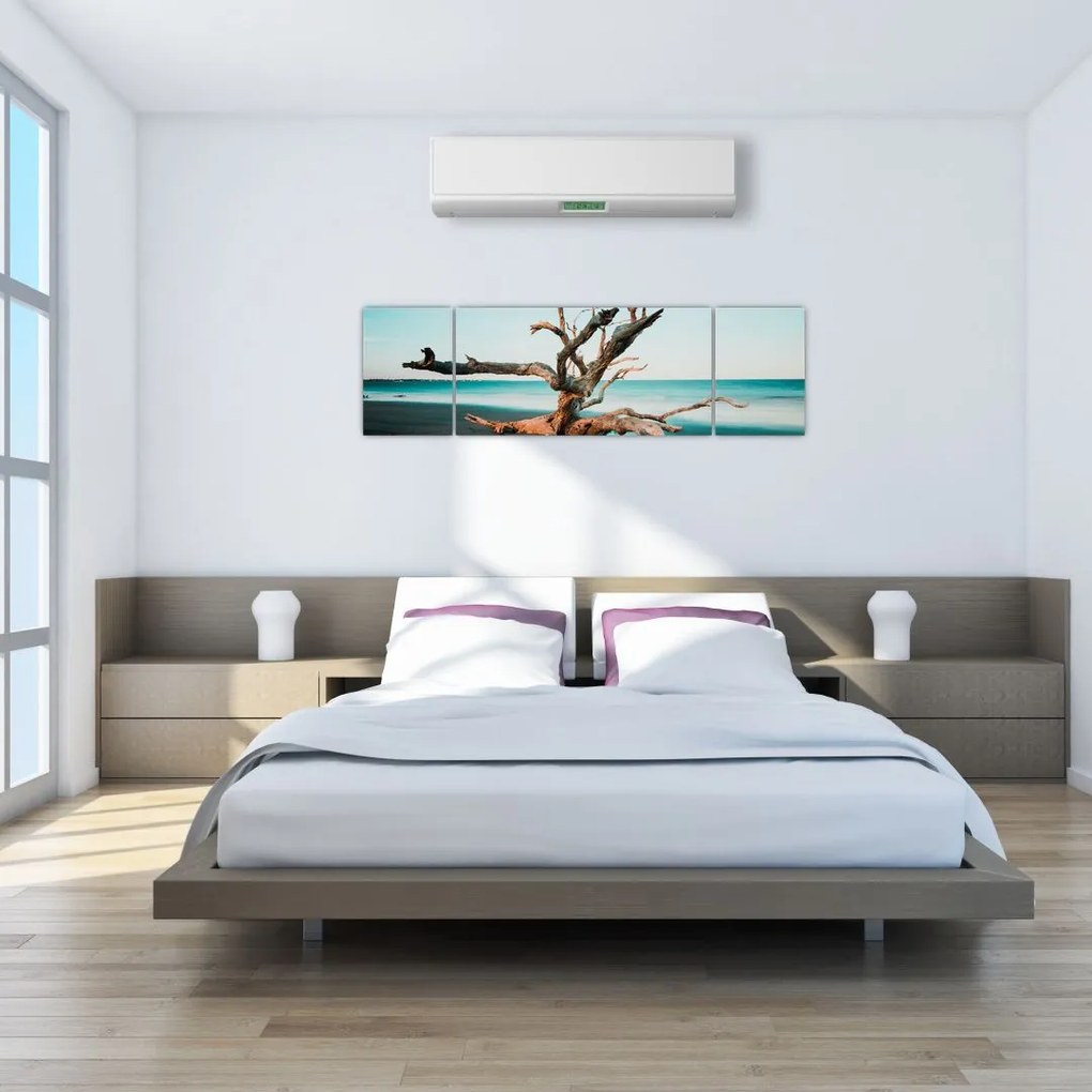 Obraz -  Wyłowiono na plaży (170x50 cm)