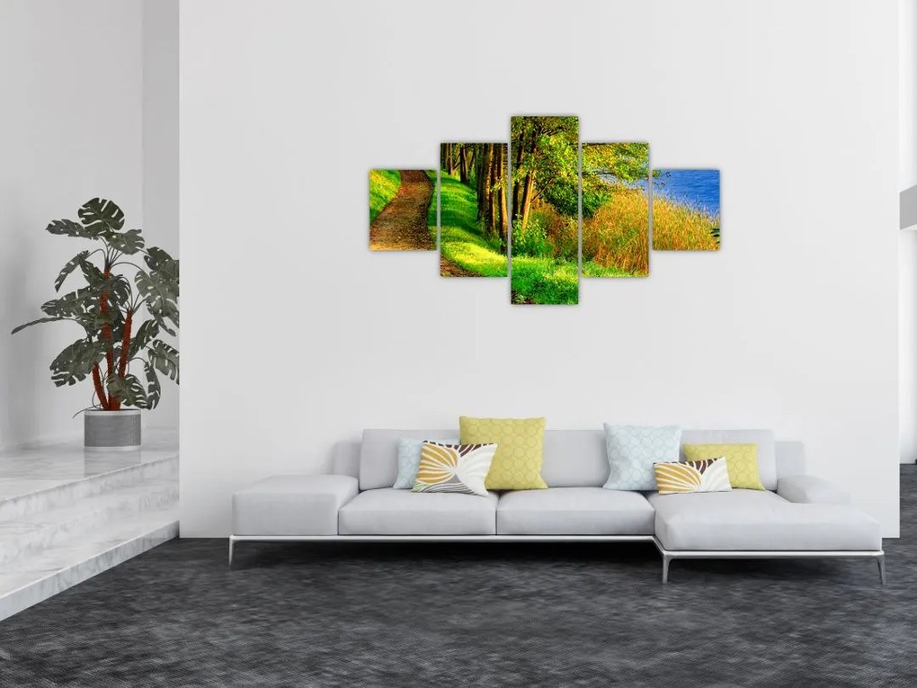 Obraz szlaku wzdłuż wody (125x70 cm)