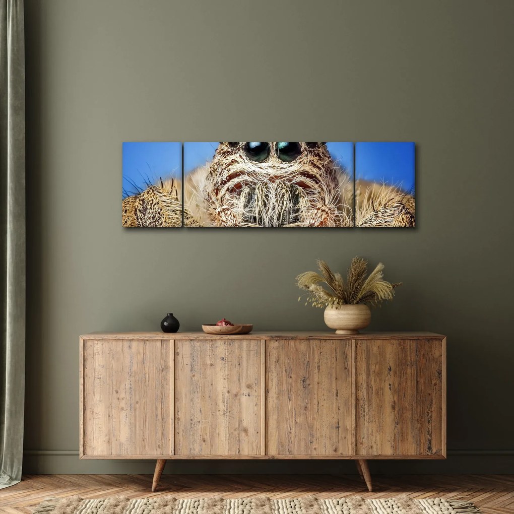 Obraz szczegółu pająka (170x50 cm)
