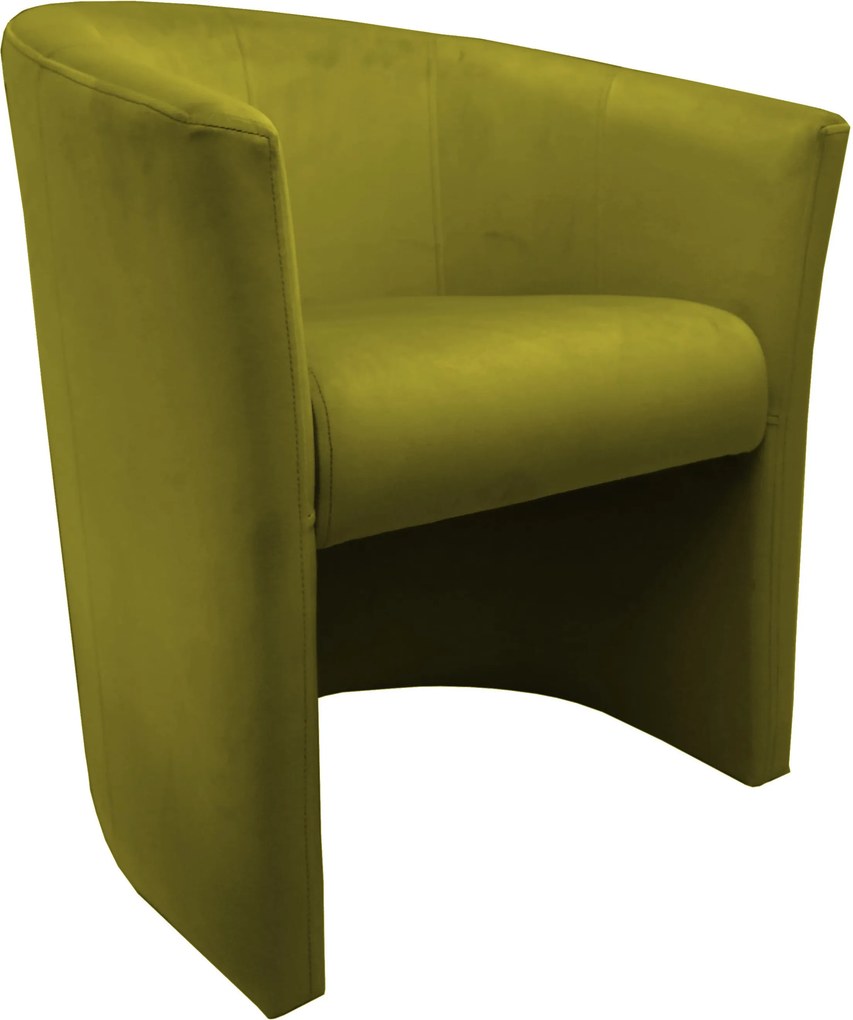 Fotel CLUB tkanina Welur elegancki fotel tapicerowany do salonu i gabinetu : Kolor tkaniny - VELVET - BL75