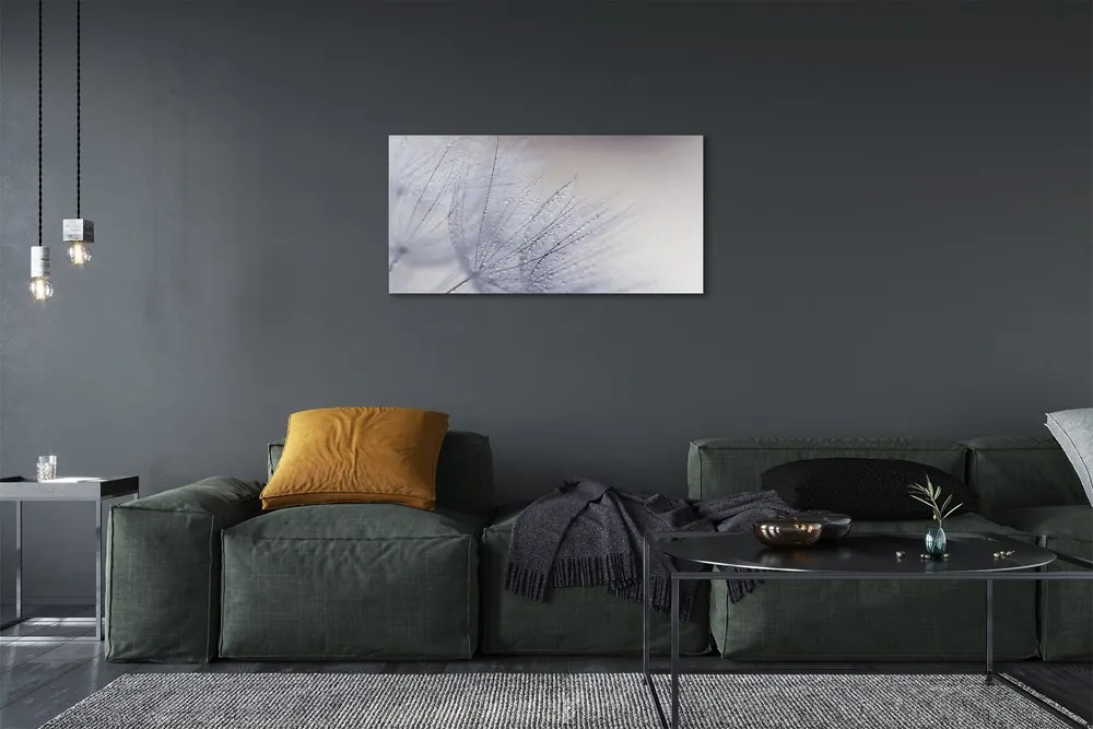 Duży obraz na płótnie Dmuchawce w Porannej Rosie