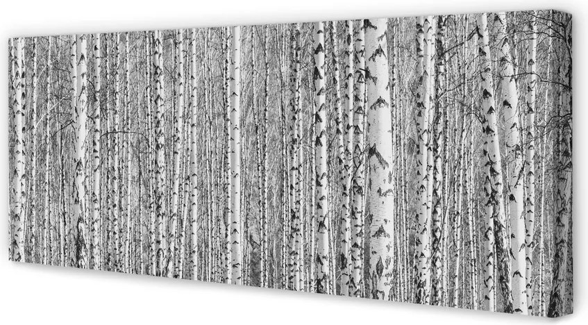 Obraz na płótnie Czarno-Biały Las