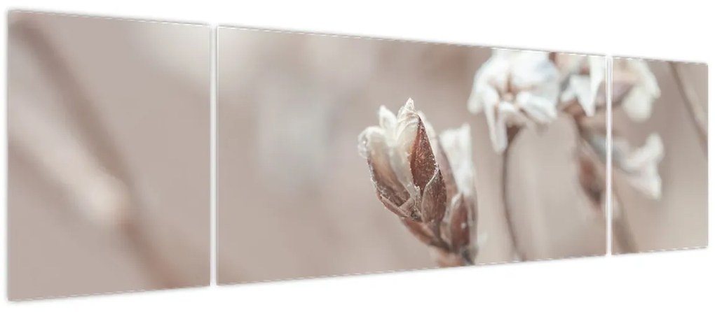 Obraz - Szczegół gałęzi (170x50 cm)