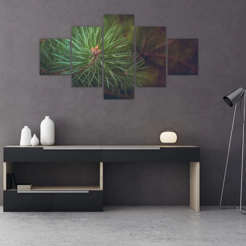 Obraz - Detal sosny (125x70 cm)