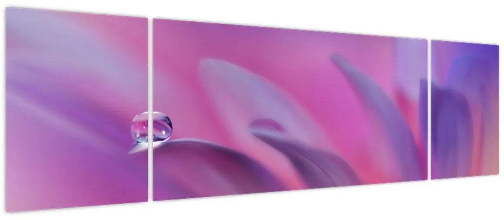Obraz - Kropla na kwiecie (170x50 cm)