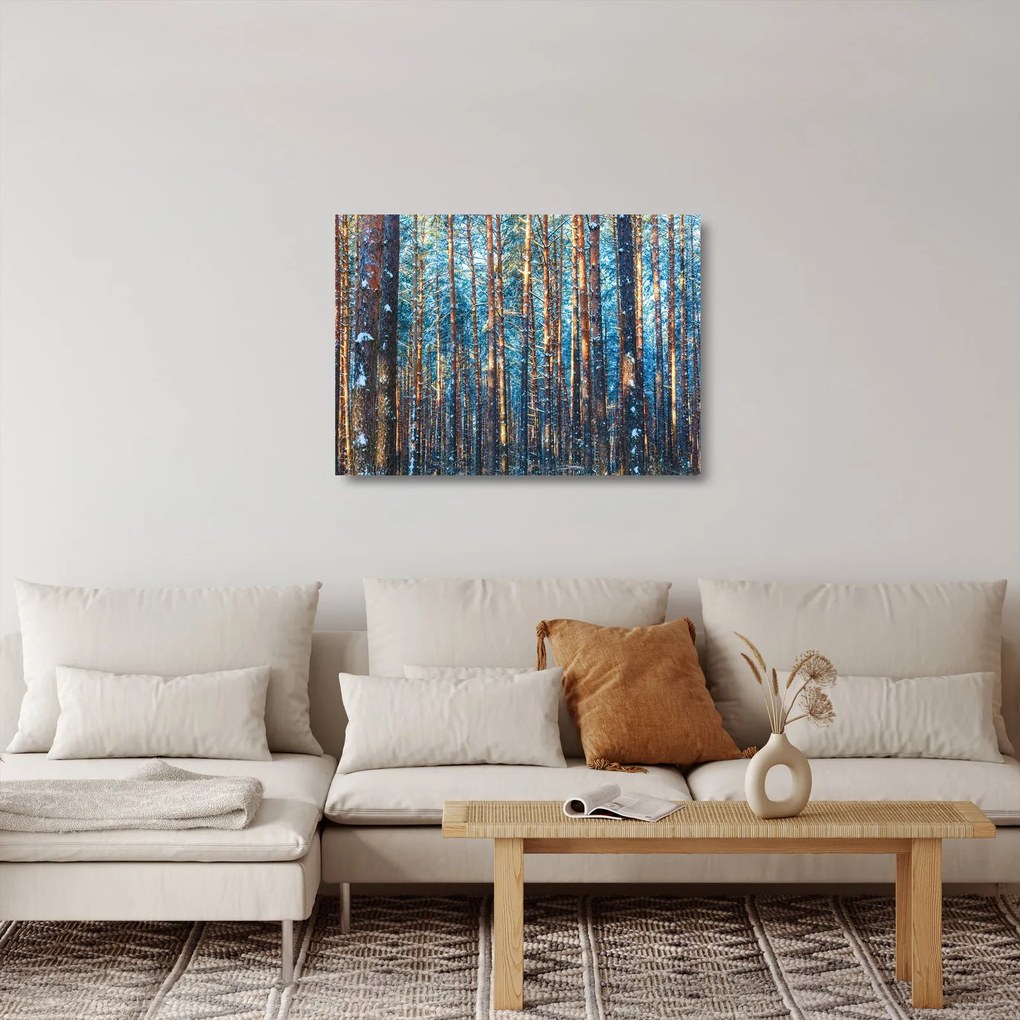 Obraz na szkle - Zimowy las (70x50 cm)