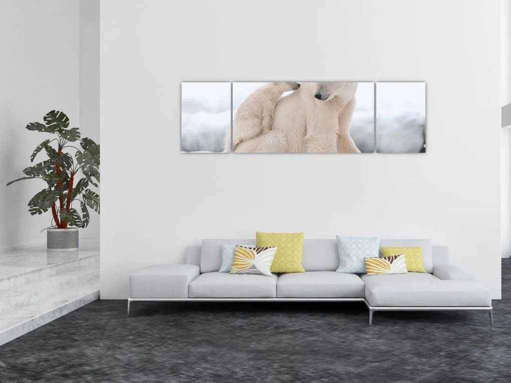 Obraz - Niedźwiedzie polarne (170x50 cm)