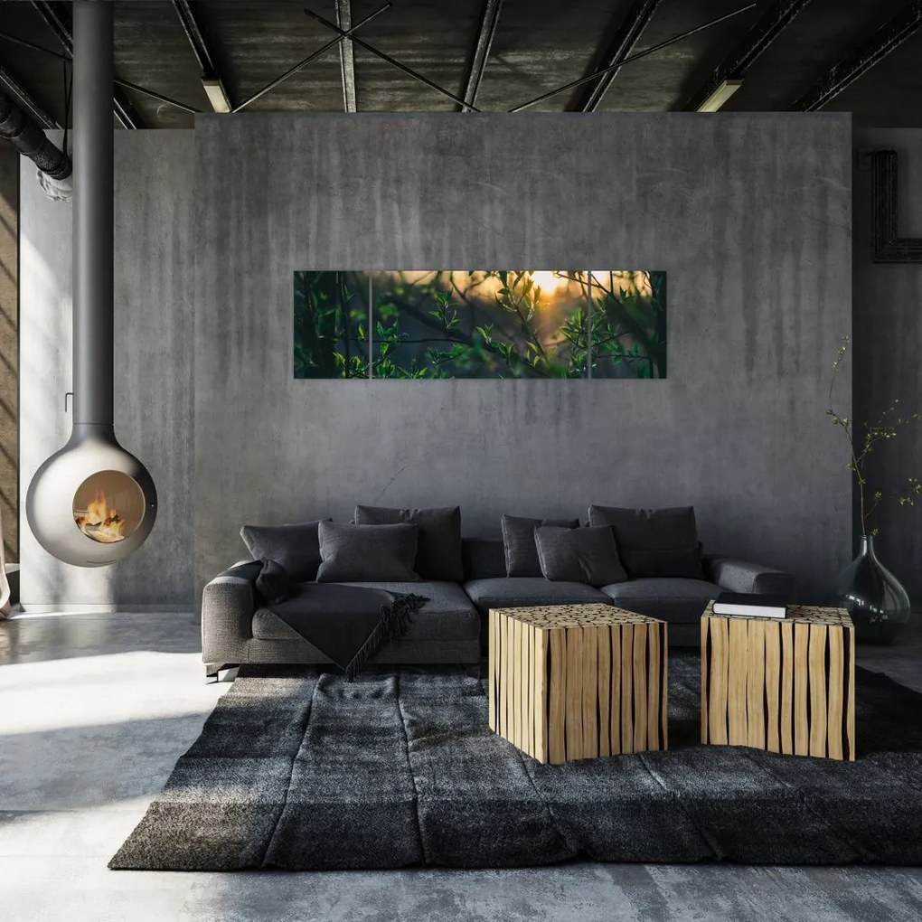 Obraz słońca przeświecającego przez gałęzie drzew (170x50 cm)
