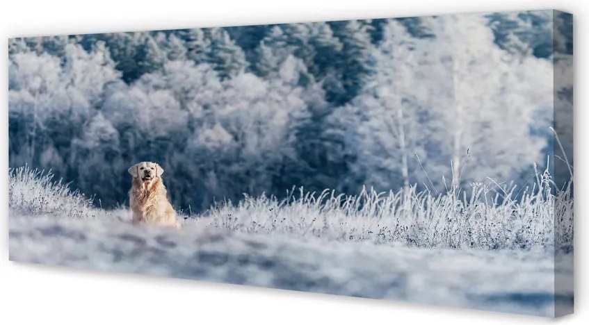 Obraz na płótnie Pies w Górach Zimą