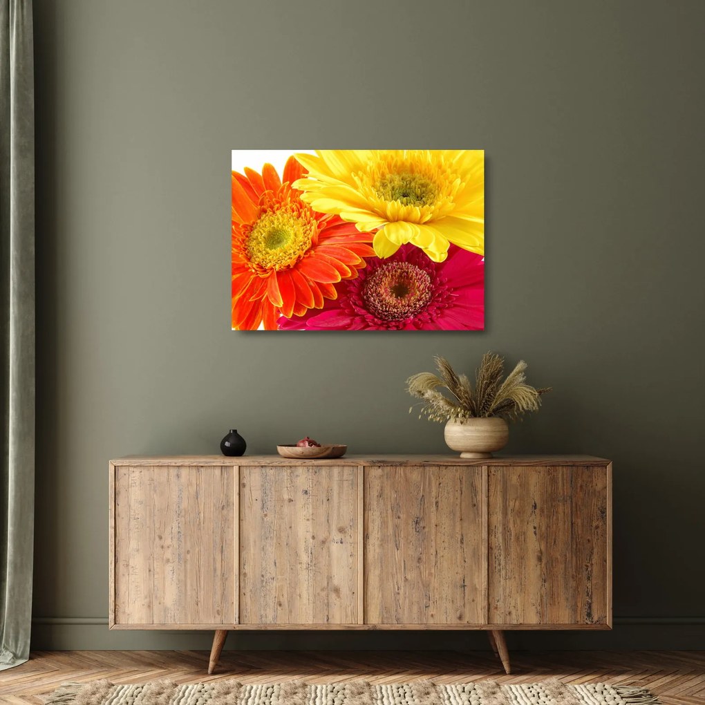 Obraz na szkle - Kwiaty Gerbery (70x50 cm)