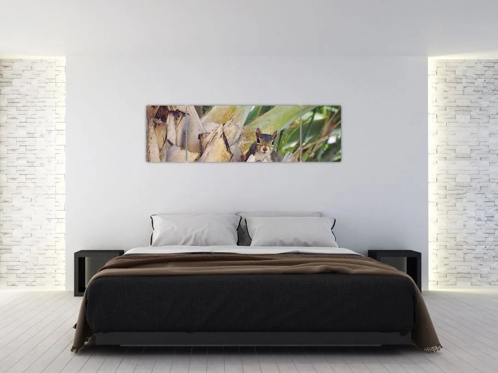 Obraz wiewiórki na drzewie (170x50 cm)
