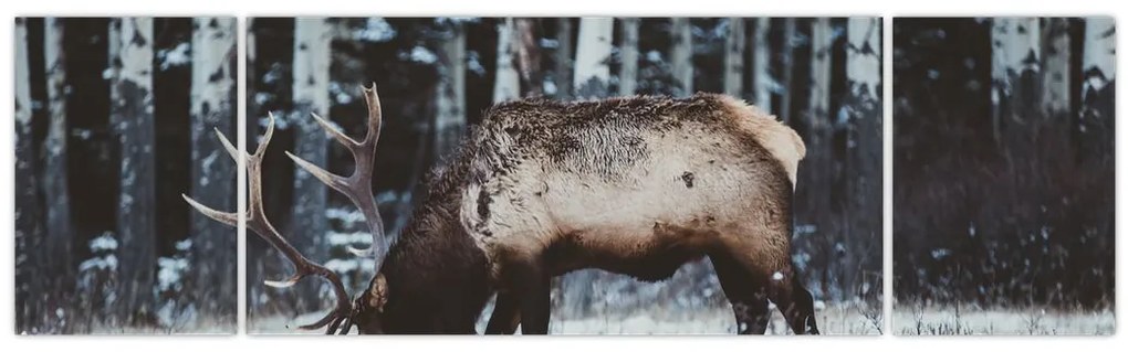 Obraz - jeleń zimą (170x50 cm)
