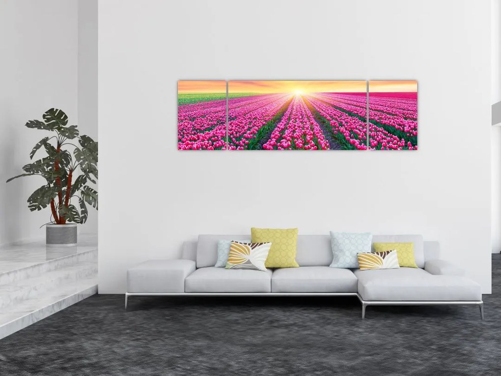 Obraz pole tulipanów ze słońcem (170x50 cm)