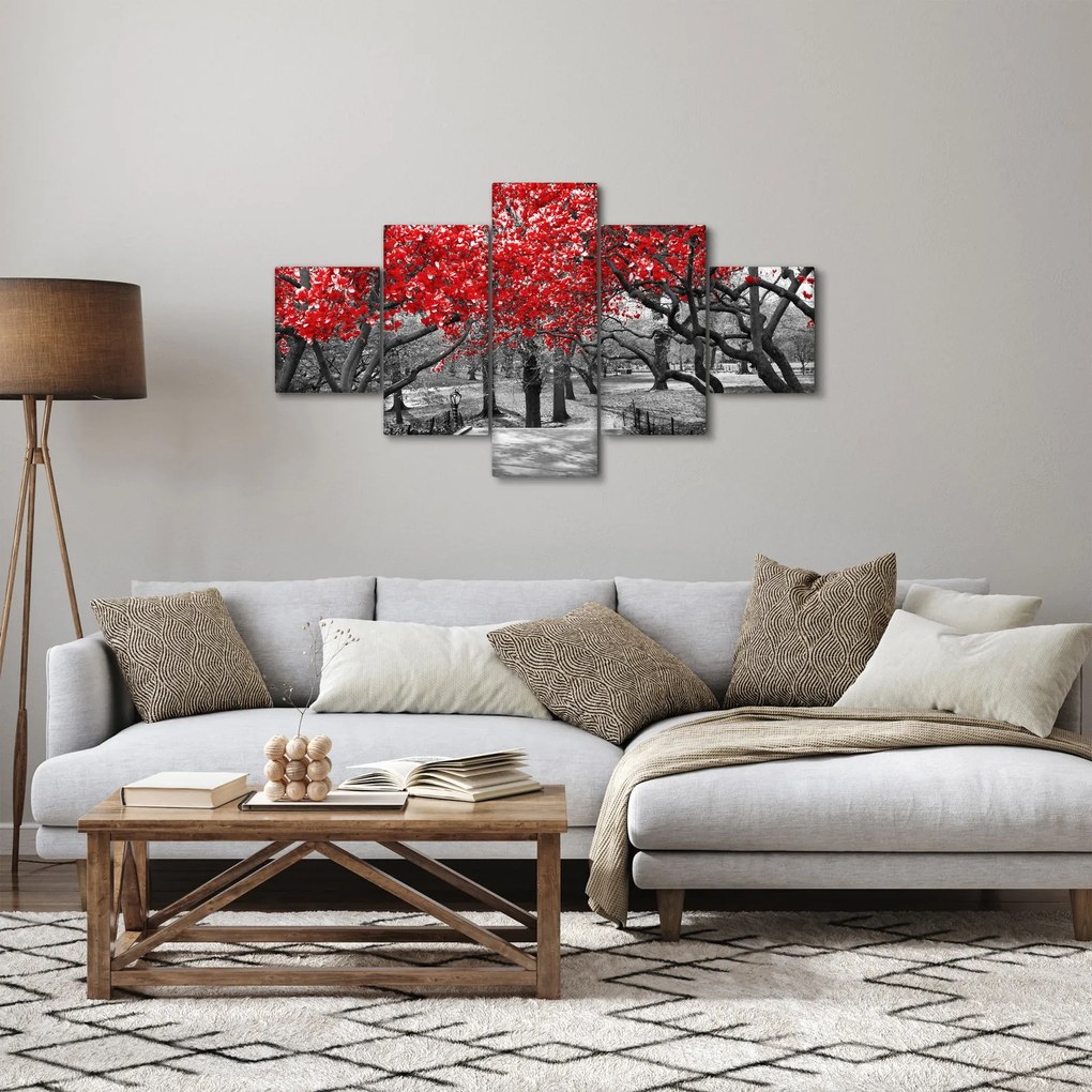 Obraz - Czerwone drzewa, Central Park, New York (125x70 cm)