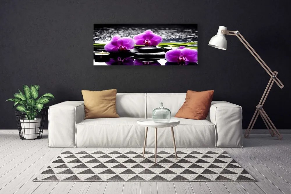 Obraz drukowany na płótnie Egzotyczny Kwiat Orchidei