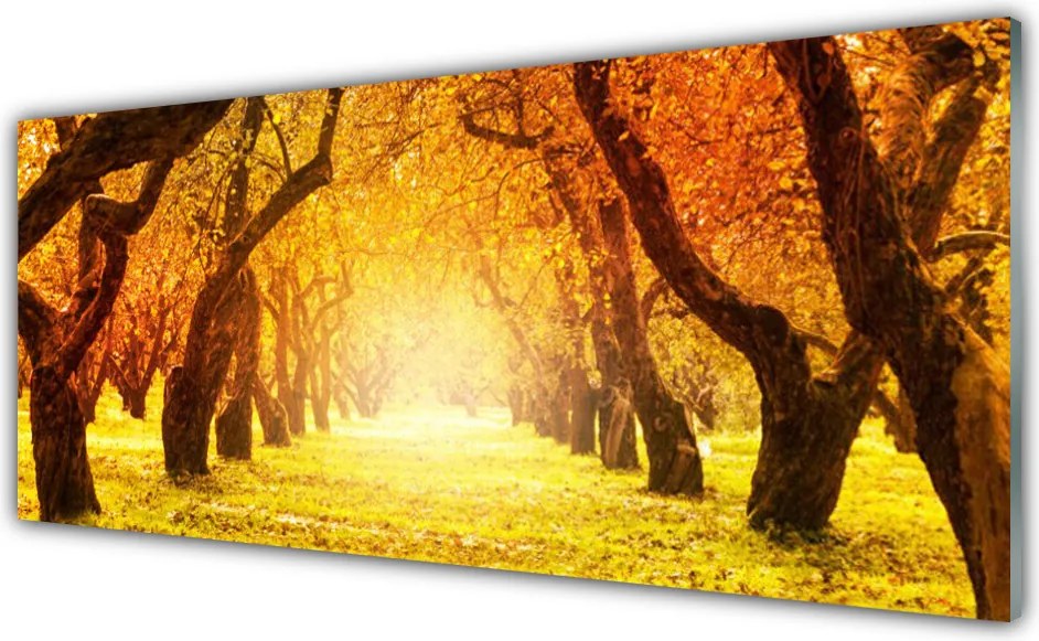 Panel Szklany Aleja W Cieniu Drzew