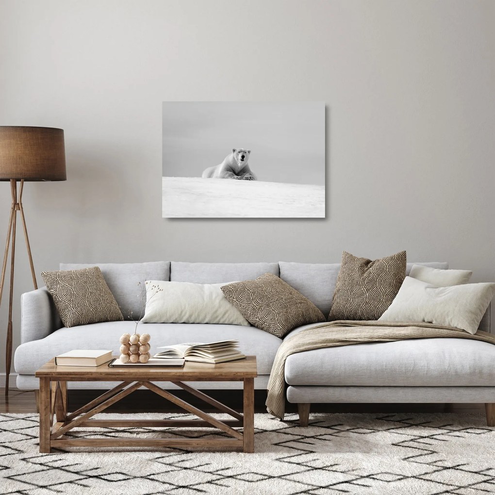 Obraz na szkle - Niedźwiedź polarny (70x50 cm)