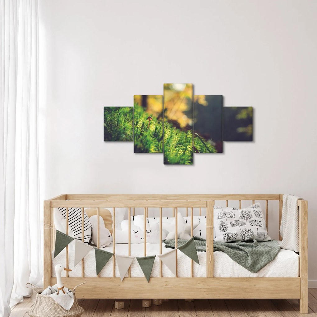Obraz mchu z grzybem (125x70 cm)