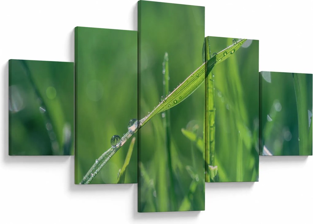 Obraz kropli rosy (125x70 cm)