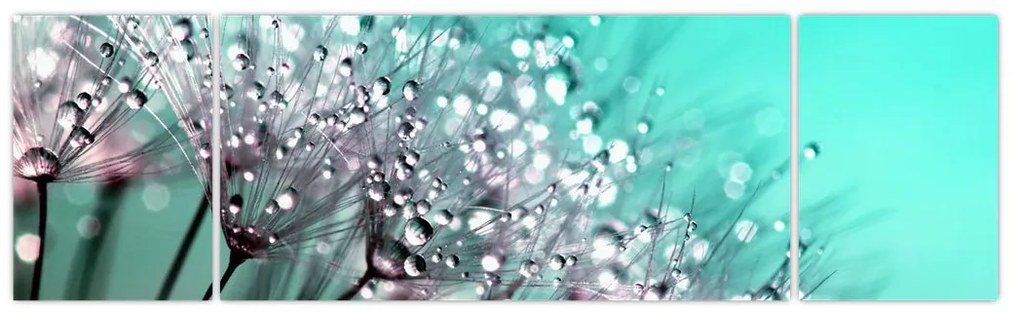 Obraz - zroszona roślina (170x50 cm)