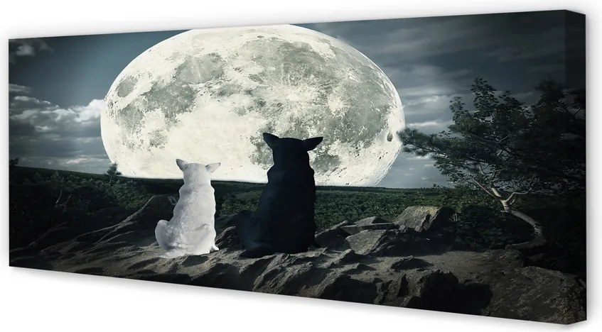 Obraz na płótnie Wataha Wilków przy Pełni Księżyca