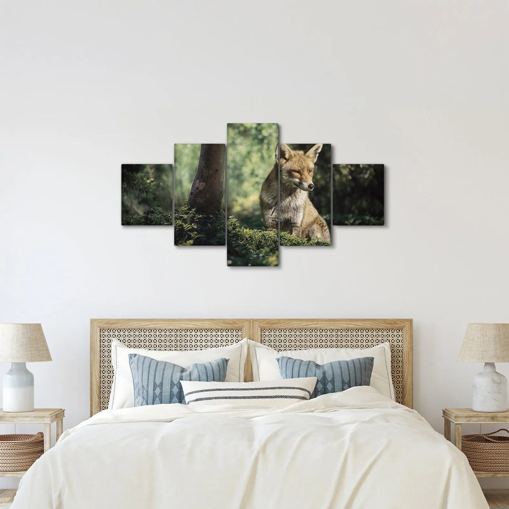 Obraz lisa (125x70 cm)