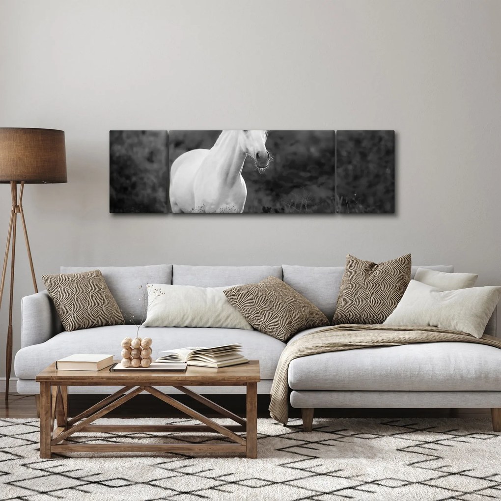Obraz białego konia na łące, czarno - biały (170x50 cm)