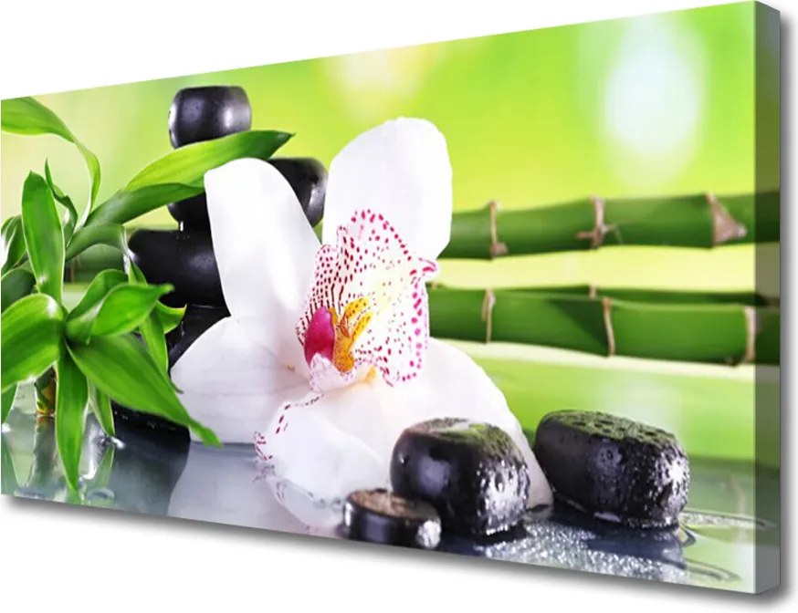 Obraz canvas Sielski Urok Polnej Łąki