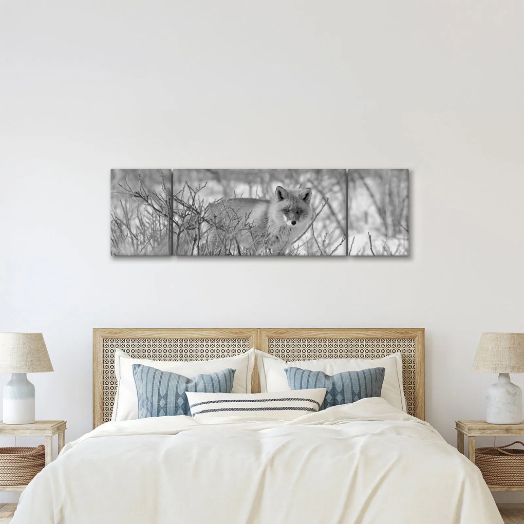 Obraz - Lis, czarno - biały (170x50 cm)