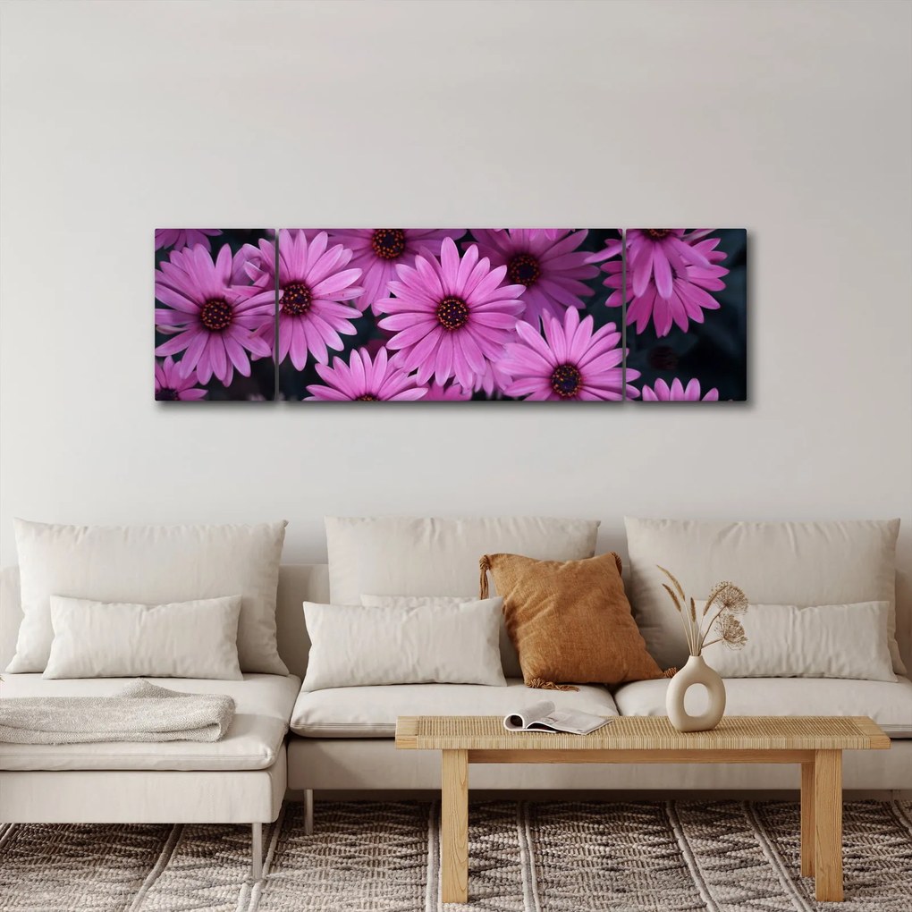 Obraz różowych kwiatów (170x50 cm)