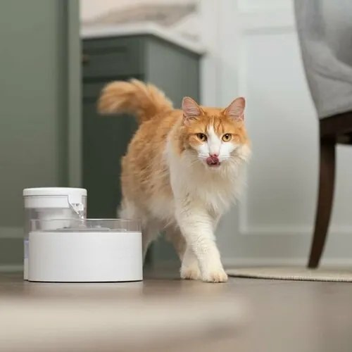 PetSafe® Outlast™ Fontanna 1,7 litra