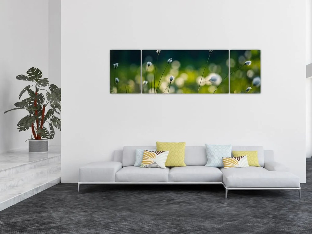 Obraz - Trawa (170x50 cm)