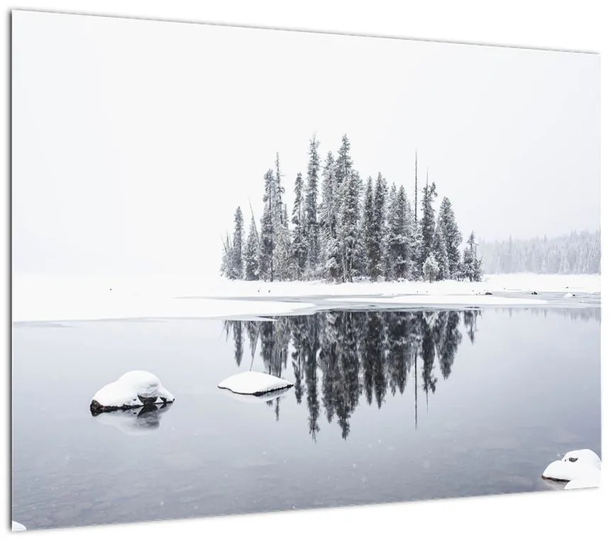 Obraz - Było biało (70x50 cm)