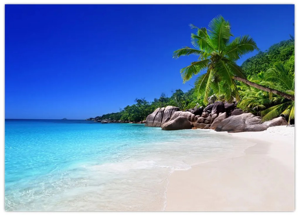 Obraz plaży na wyspie Praslin (70x50 cm)