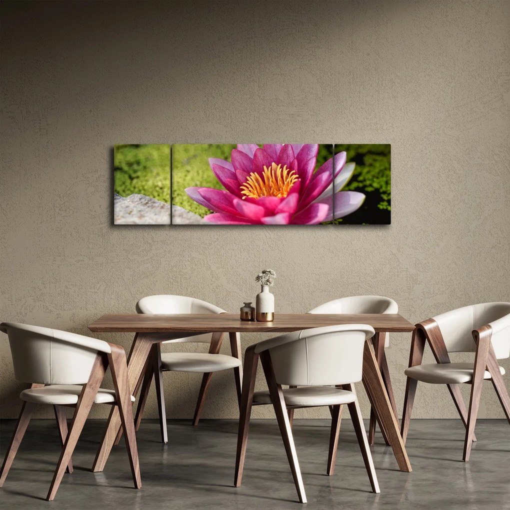 Obraz - Lilia wodna (170x50 cm)