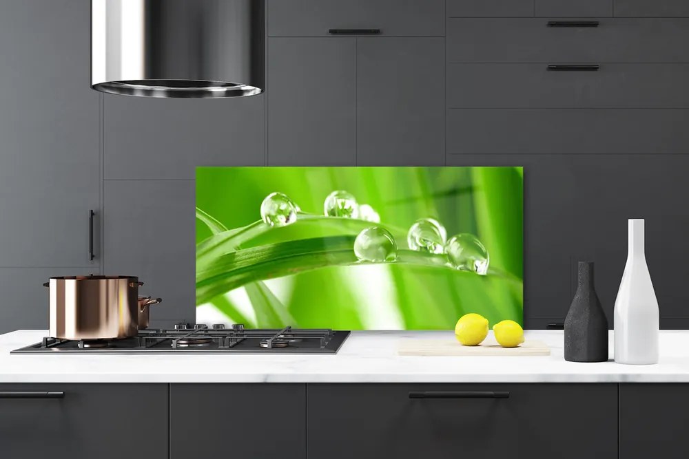 Panel nad blat kuchenny Tropikalna Flora Liściasta